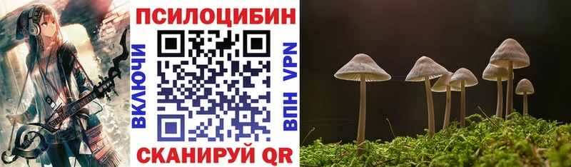 где можно купить   Сунжа  Галлюциногенные грибы Cubensis 