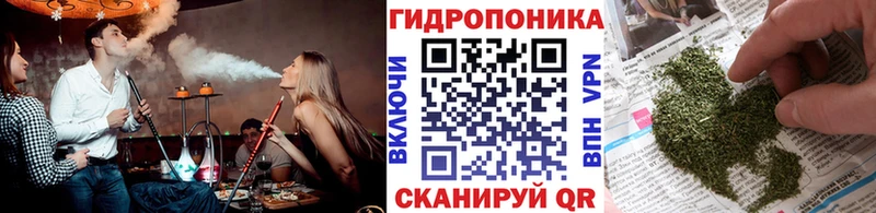 OMG рабочий сайт  Сунжа  Конопля план 